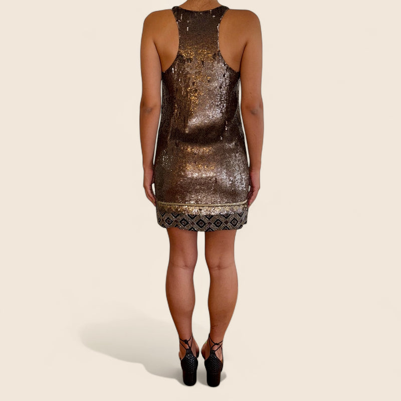 Embroidered Sequin Dress – Brazilian Brand | Animale